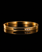 Bransoletka Diamond Luxe – Titanium Steel Bracelet